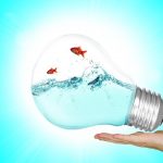 Vakance – projektu vadītājs